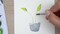 How to Paint a Watercolor Monstera Adansonii image 2